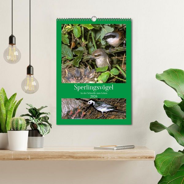 Produktbild: Sperlingsv&ouml;gel an der Schwelle zum Leben (Wandkalender 2026 DIN A3 hoch), CALVENDO Monatskalender