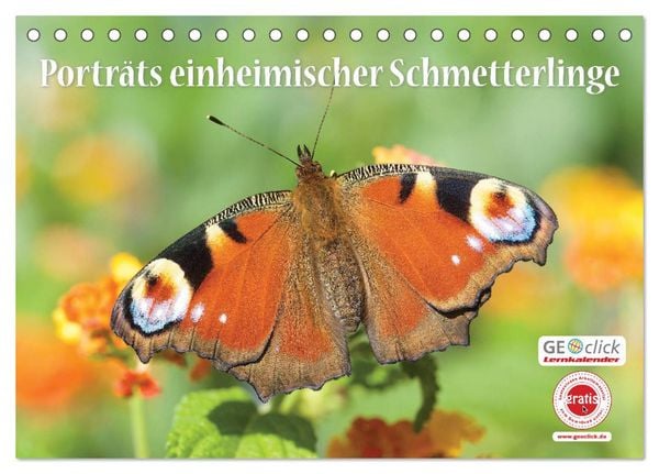 Produktbild: GEOclick Lernkalender: Portr&auml;ts einheimischer Schmetterlinge (Tischkalender 2026 DIN A5 quer), CALVENDO Monatskalender