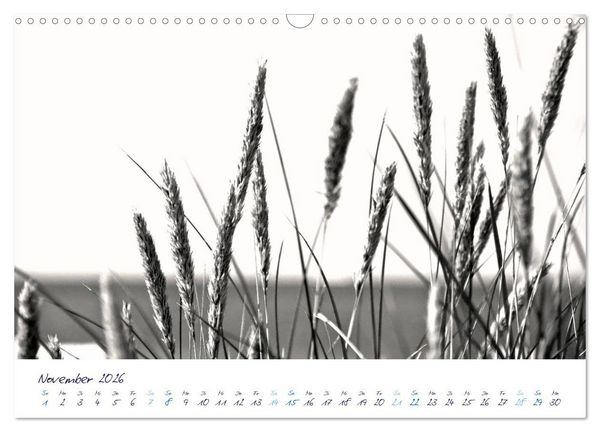 Produktbild: Meeresbilder - Nordsee-Impressionen (Wandkalender 2026 DIN A3 quer), CALVENDO Monatskalender