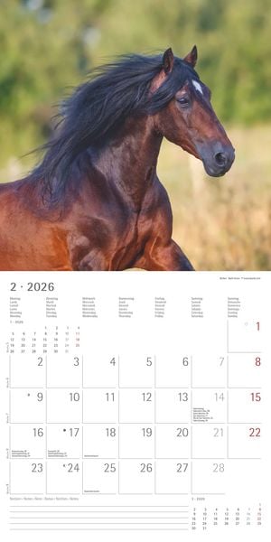 Produktbild: Pferde 2026 - Broschürenkalender 30x30 cm (30x60 geöffnet) - Kalender mit Platz für Notizen - Horses - Bildkalender - Wandplaner - Pferdekalender
