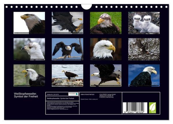 Produktbild: Wei&szlig;kopfseeadler. Symbol der Freiheit (Wandkalender 2026 DIN A4 quer), CALVENDO Monatskalender