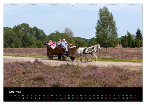 Produktbild: Hansestadt L&uuml;neburg und L&uuml;neburger Heide (hochwertiger Premium Wandkalender 2026 DIN A2 quer), Kunstdruck in Hochglanz