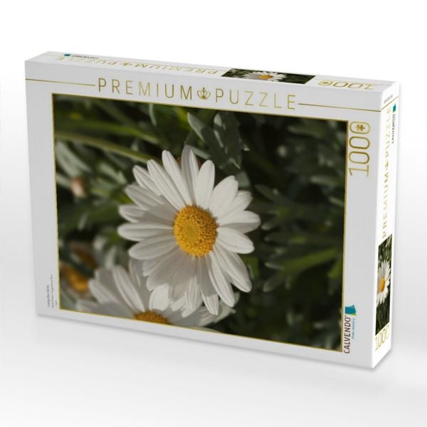Produktbild: CALVENDO Puzzle margeriten bl&uuml;te | 1000 Teile Lege-Gr&ouml;&szlig;e 64x48cm Foto-Puzzle f&uuml;r gl&uuml;ckliche Stunden