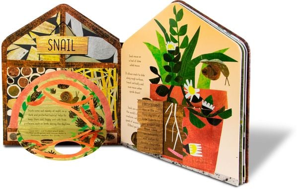 Produktbild: Mein Insektenhotel - Biene, Schmetterling und K&auml;fer