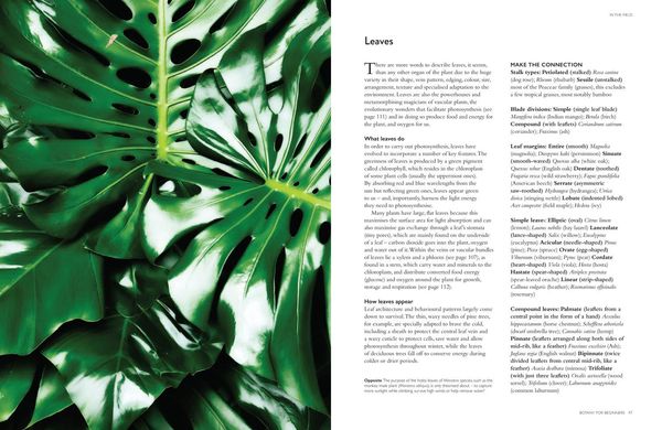 Produktbild: Collins Botanical Bible