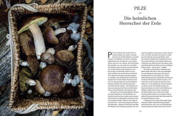 Into the Woods: Pilze suchen und Glück finden