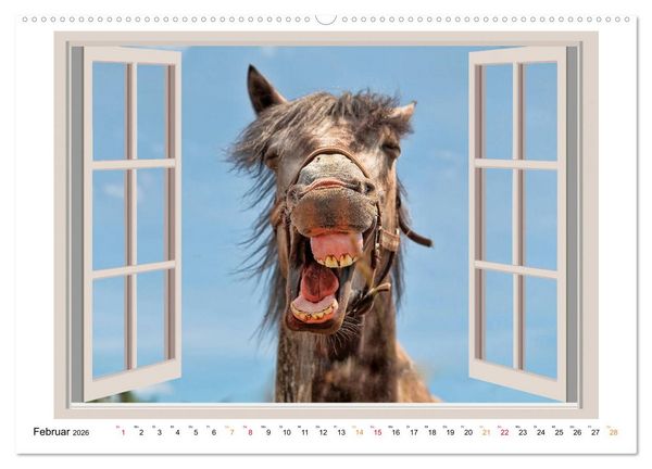 Produktbild: Fenstergucker - tierische Freunde an der Wand (Wandkalender 2026 DIN A2 quer), CALVENDO Monatskalender