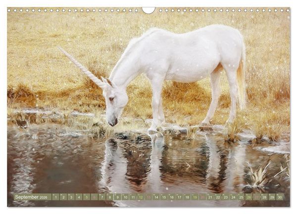 Produktbild: Einhorn Zauber - anmutige Einhornbilder (Wandkalender 2026 DIN A3 quer), CALVENDO Monatskalender