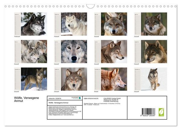 Produktbild: W&ouml;lfe. Verwegene Anmut (Wandkalender 2026 DIN A3 quer), CALVENDO Monatskalender