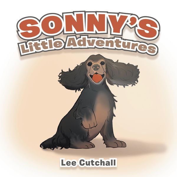 Produktbild: Sonny's Little Adventures