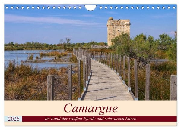 Camargue - Im Land der weißen Pferde und schwarzen Stiere (Wandkalender 2026 DIN A4 quer), CALVENDO Monatskalender