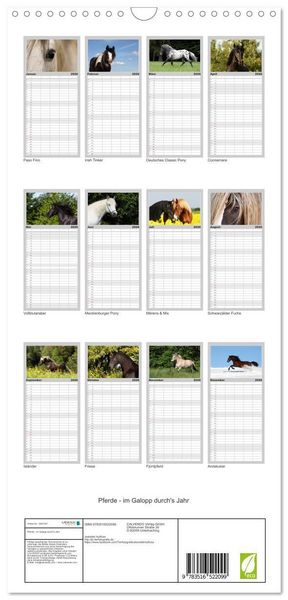 Produktbild: Familienplaner 2026 - Pferde - im Galopp durch's Jahr mit 5 Spalten (Wandkalender, 21 x 45 cm) CALVENDO