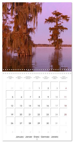 Produktbild: Mississippi Delta, Magic Swamps (Wall Calendar 2026 12 &times; 12 Inch) CALVENDO 12 Month Wall Calendar