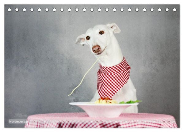 Produktbild: Zauberhafte Windhunde (Tischkalender 2026 DIN A5 quer), CALVENDO Monatskalender