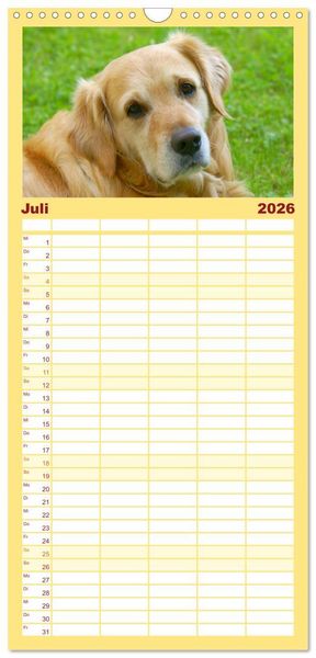 Produktbild: Familienplaner 2026 - Golden Retriever Power mit 5 Spalten (Wandkalender, 21 x 45 cm) CALVENDO