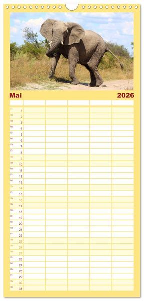 Produktbild: Familienplaner 2026 - Elefanten in Afrika mit 5 Spalten (Wandkalender, 21 x 45 cm) CALVENDO