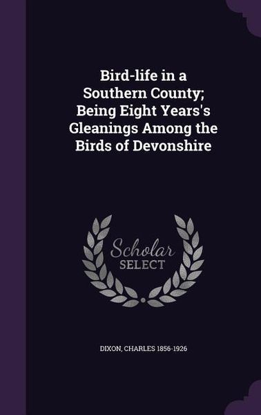 Produktbild: Bird-life in a Southern County; Being Eight Years's Gleanings Among the Birds of Devonshire