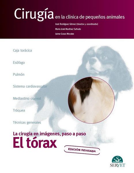 Produktbild: El t&oacute;rax : cirug&iacute;a en la cl&iacute;nica de peque&ntilde;os animales