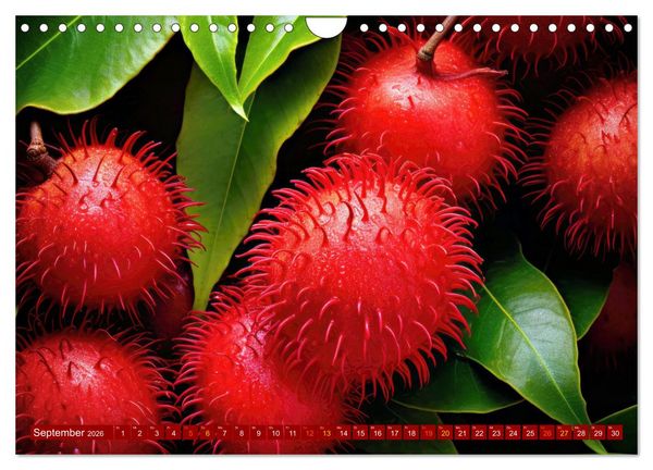 Produktbild: ROT - Gem&uuml;se und Obst - Voller Power (Wandkalender 2026 DIN A4 quer), CALVENDO Monatskalender