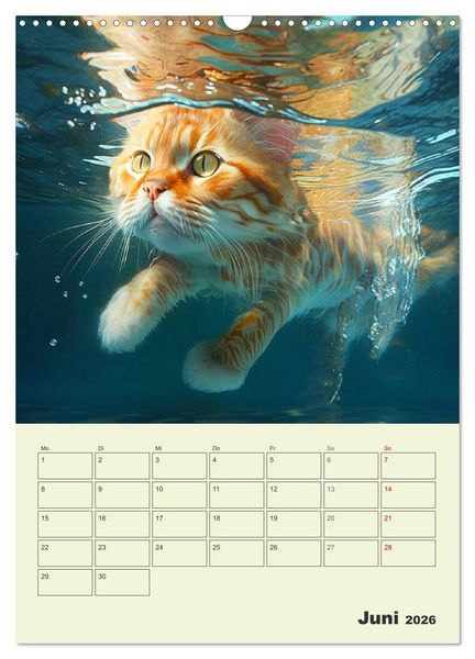 Produktbild: Jetzt ist die Katze aus dem Sack! Katzenspa&szlig; vom Feinsten! (Wandkalender 2026 DIN A3 hoch), CALVENDO Monatskalender