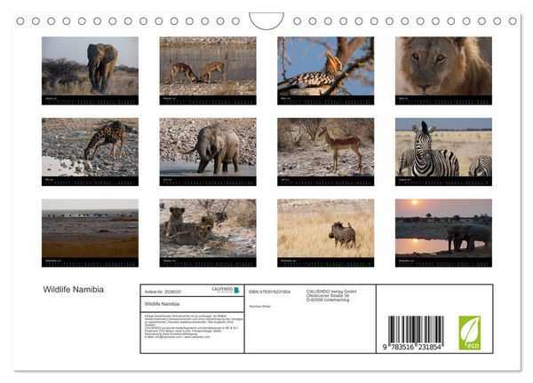 Produktbild: Wildlife Namibia (Wandkalender 2026 DIN A4 quer), CALVENDO Monatskalender