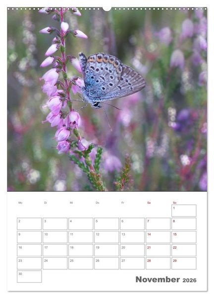 Produktbild: Helden in der Natur (Wandkalender 2026 DIN A2 hoch), CALVENDO Monatskalender