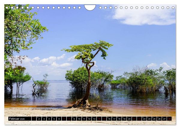 Produktbild: Amazonas - Faszination Regenwald (Wandkalender 2026 DIN A4 quer), CALVENDO Monatskalender