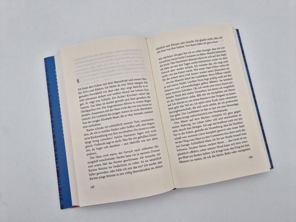 Produktbild: Melville verschwindet