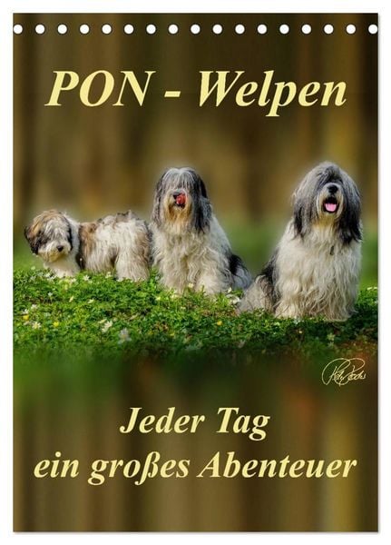 Produktbild: PON-Welpen - jeder Tag ein gro&szlig;es Abenteuer / Planer (Tischkalender 2026 DIN A5 hoch), CALVENDO Monatskalender