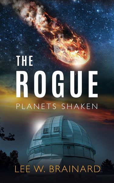 Produktbild: The Rogue