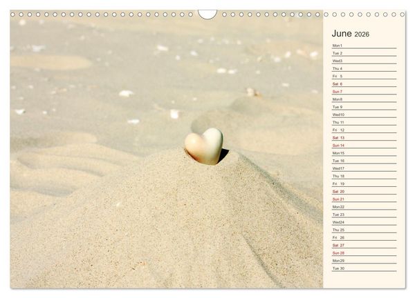 Produktbild: Shells, Stones and Sand (Wall Calendar 2026 DIN A3 landscape), CALVENDO 12 Month Wall Calendar