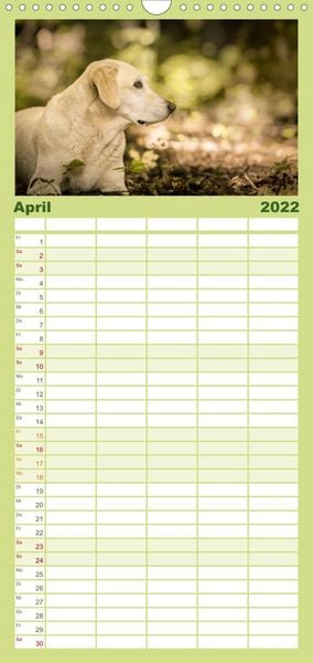 Produktbild: Familienplaner Labrador Trio - 3 Farben, 3 Freunde (Wandkalender 2022 , 21 cm x 45 cm, hoch)