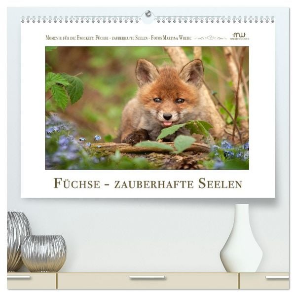 Produktbild: F&uuml;chse - zauberhafte Seelen (hochwertiger Premium Wandkalender 2026 DIN A2 quer), Kunstdruck in Hochglanz
