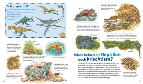 Produktbild: WAS IST WAS Junior Alles lebt! Von klitzeklein bis riesengro&szlig;