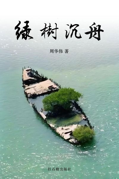 Produktbild: 绿树沉舟