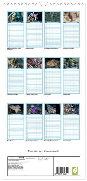 Produktbild: Familienplaner 2027 - Faszination blaue Unterwasserwelt mit 5 Spalten (Wandkalender, 21 x 45 cm) CALVENDO