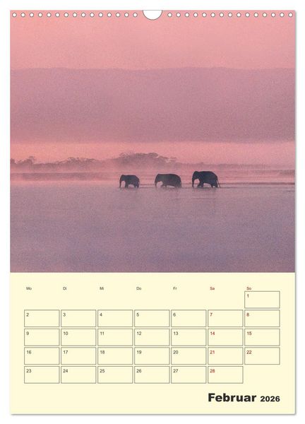 Produktbild: ELEFANTEN - Asiens graue Riesen (Wandkalender 2026 DIN A3 hoch), CALVENDO Monatskalender