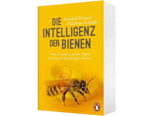 Produktbild: Die Intelligenz der Bienen