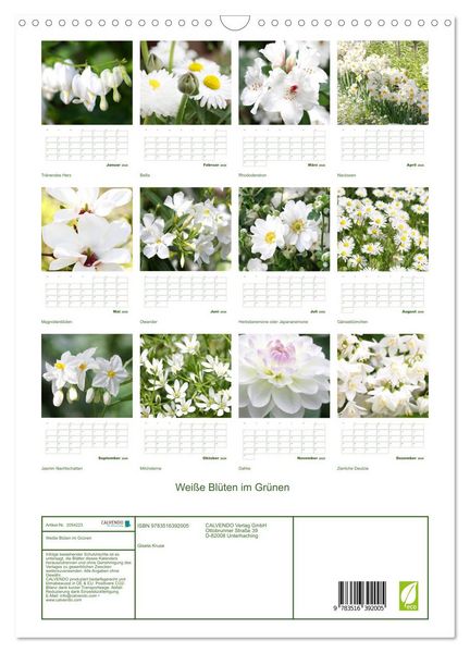 Produktbild: Wei&szlig;e Bl&uuml;ten im Gr&uuml;nen (Wandkalender 2026 DIN A3 hoch), CALVENDO Monatskalender