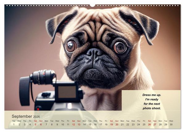 Produktbild: Great fun for pug lovers (High Quality Premium Wall Calendar 2026 DIN A2 landscape),CALVENDO 12 Month Wall Calendar