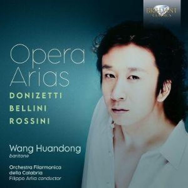Produktbild: Opera Arias:Donizetti,Bellini,Rossini