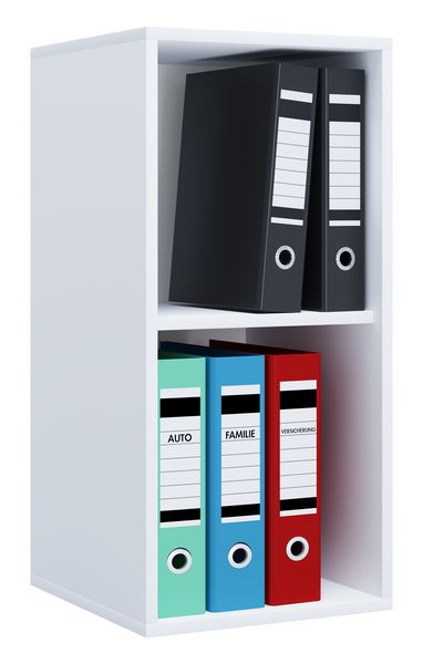 Holz Büro Regal Bücher Ordner Aktenregal Lona l 2f