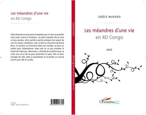 Produktbild: Les meandres d'une vie en RD Congo