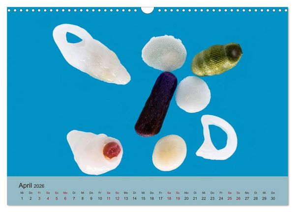 Produktbild: rosaroter korallensand (Wandkalender 2026 DIN A3 quer), CALVENDO Monatskalender