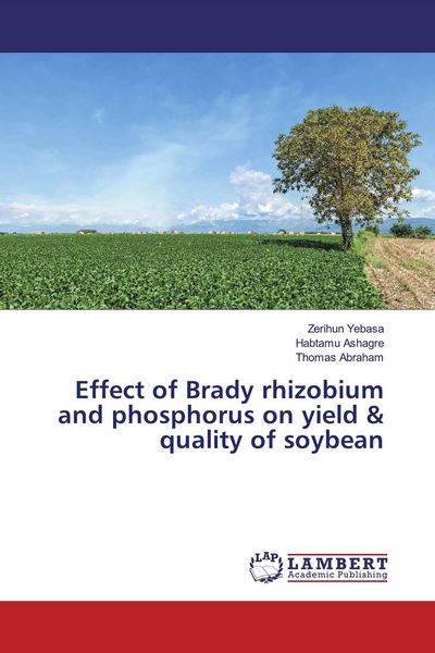 Produktbild: Effect of Brady rhizobium and phosphorus on yield & quality of soybean