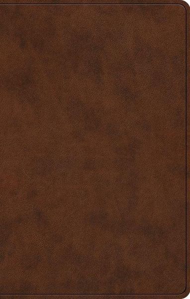 Produktbild: ESV Premium Gift Bible, Red Letter (Trutone, Brown)