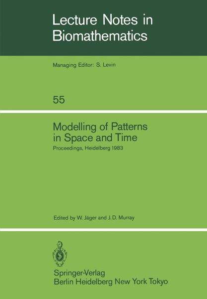 Produktbild: Modelling of Patterns in Space and Time