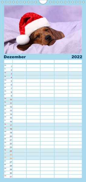 Produktbild: Familienplaner S&uuml;&szlig;e Tr&auml;ume 2022 - schlafende Hundewelpen (Wandkalender 2022 , 21 cm x 45 cm, hoch)