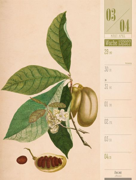 Produktbild: Culinarium Wochenplaner Kalender 2027 | K&uuml;che, Kr&auml;uter, Kurioses