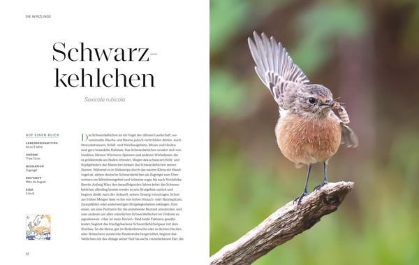 Produktbild: Die magische Welt unserer V&ouml;gel
